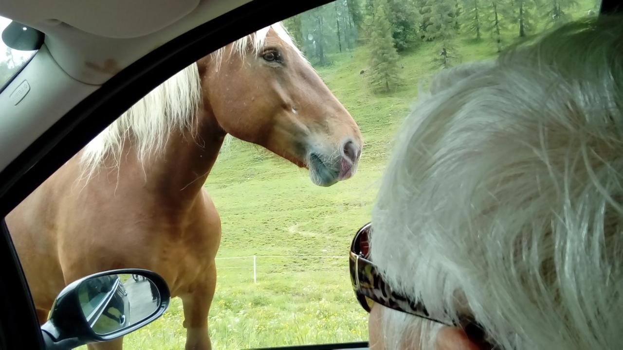 فندق Landhaus Tirol بريسيغ المظهر الخارجي الصورة