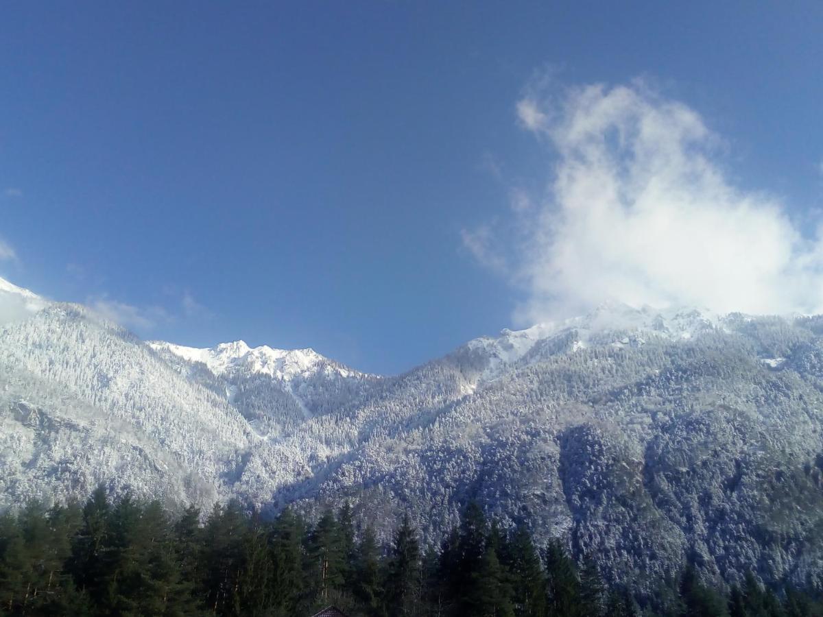 فندق Landhaus Tirol بريسيغ المظهر الخارجي الصورة