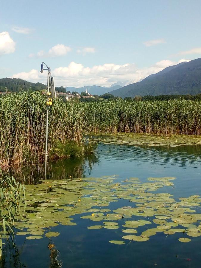 فندق Landhaus Tirol بريسيغ المظهر الخارجي الصورة